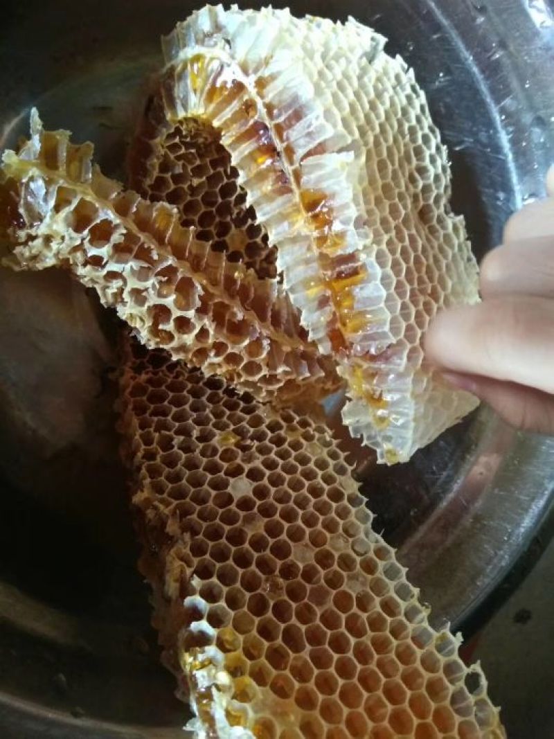 农家纯蜂蜜