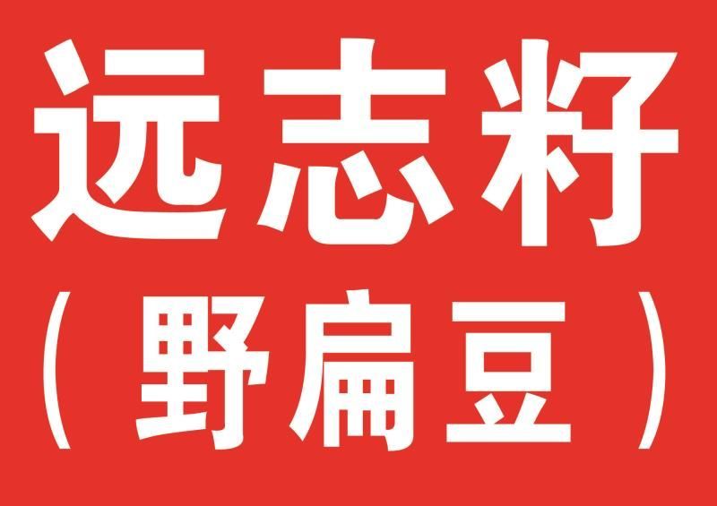 产地直供远志种子