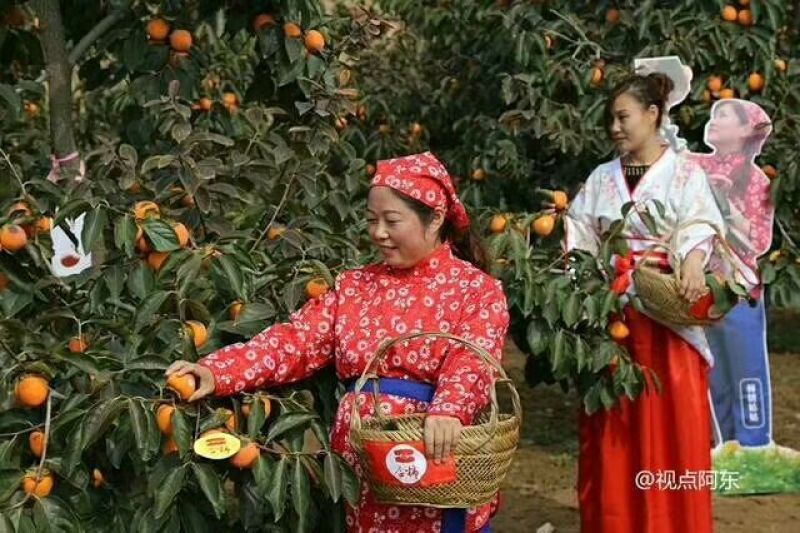 我们只做富平柿饼