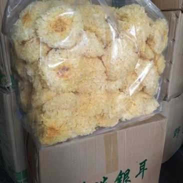 优质银耳，黄金耳大量现货