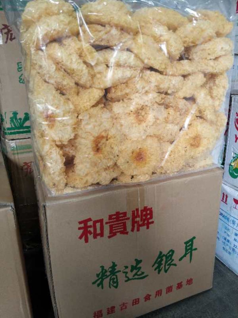 优质银耳，黄金耳大量现货