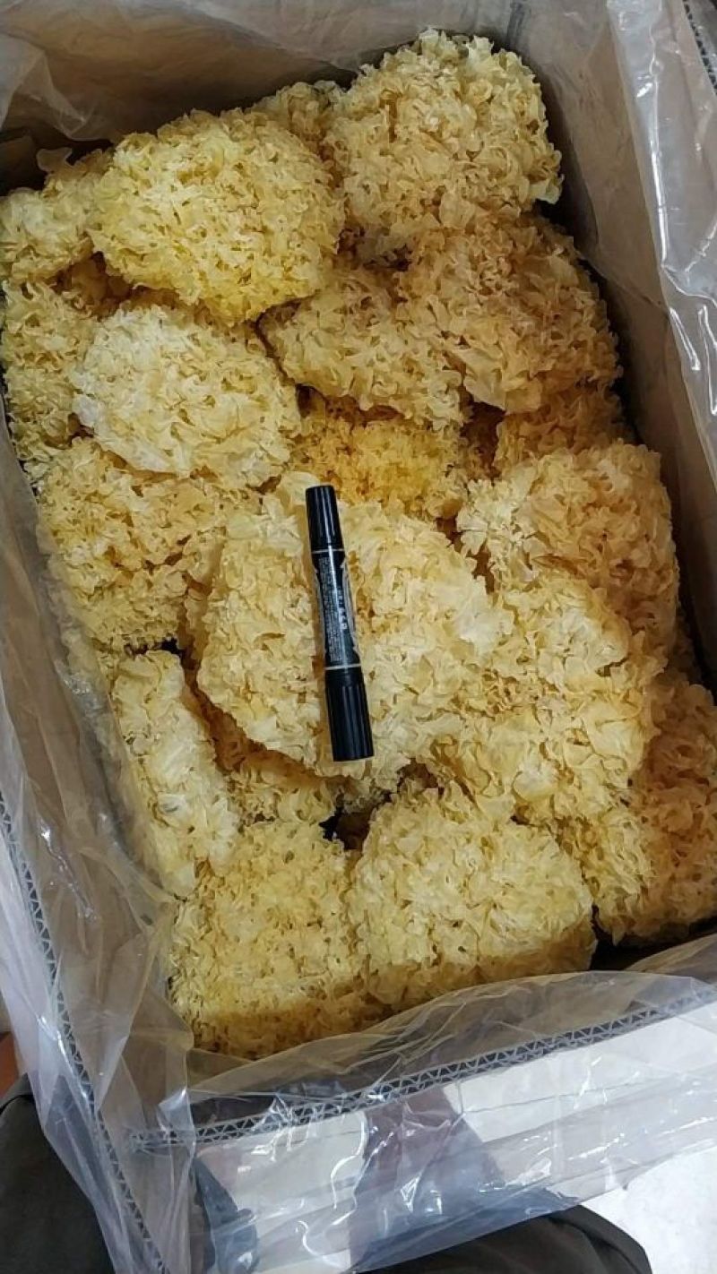 优质银耳，黄金耳大量现货
