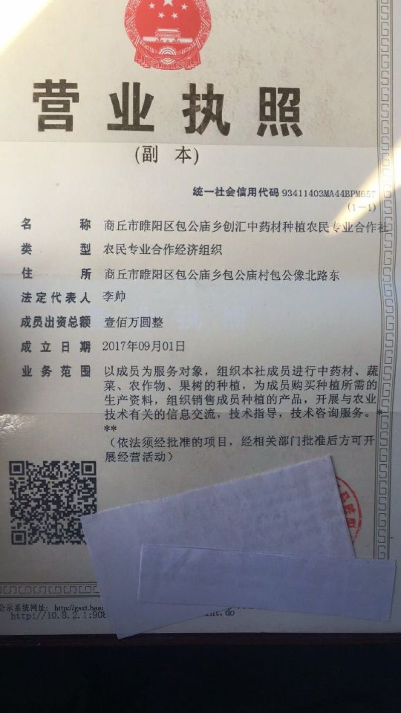 白芷片，白芷个子，药食同源，一年生品种，