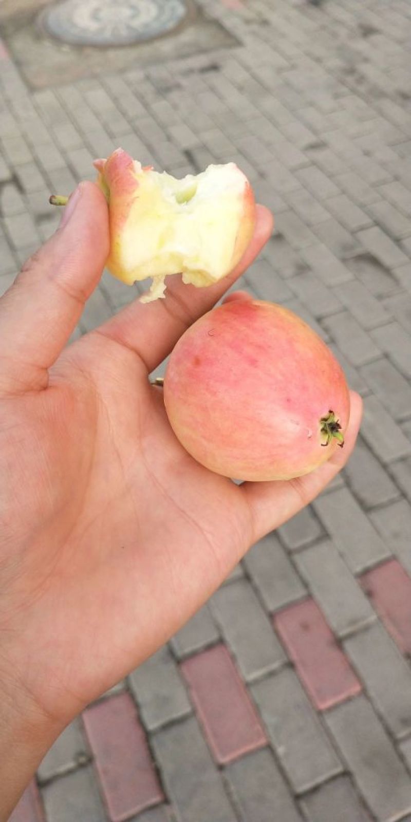 精品七月鲜