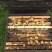 百花蜜5斤