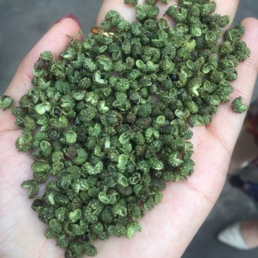 青花椒特级干