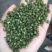 青花椒特级干