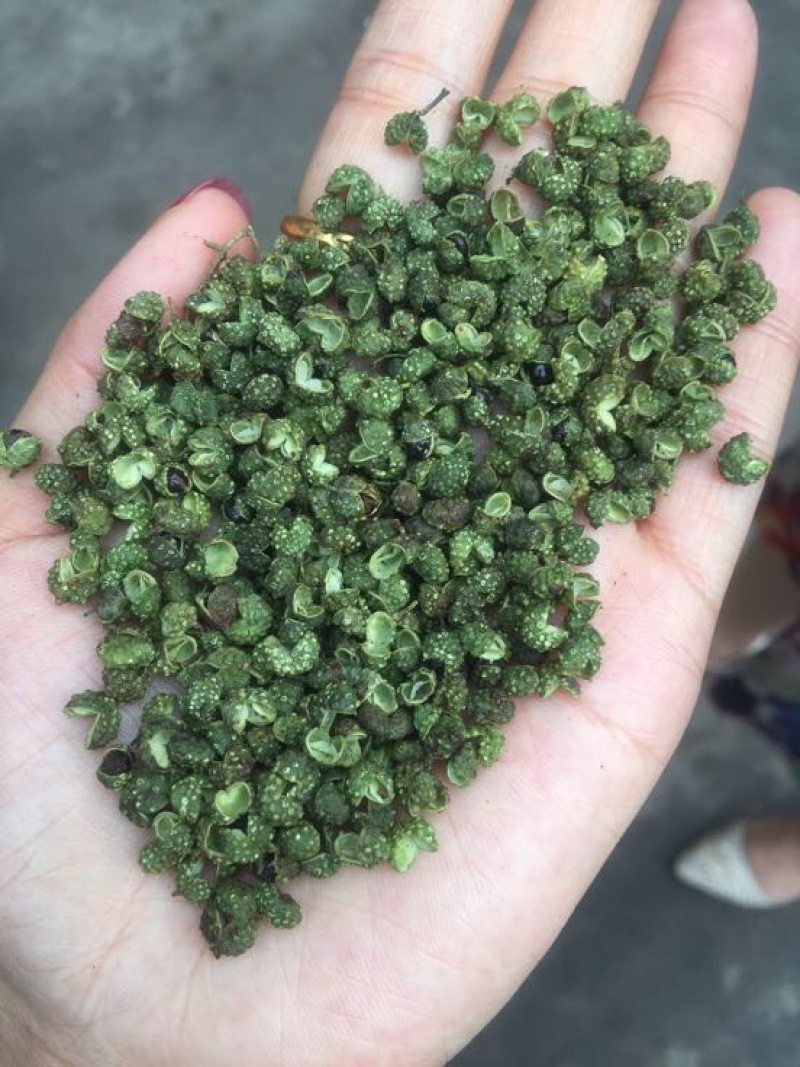 青花椒特级干