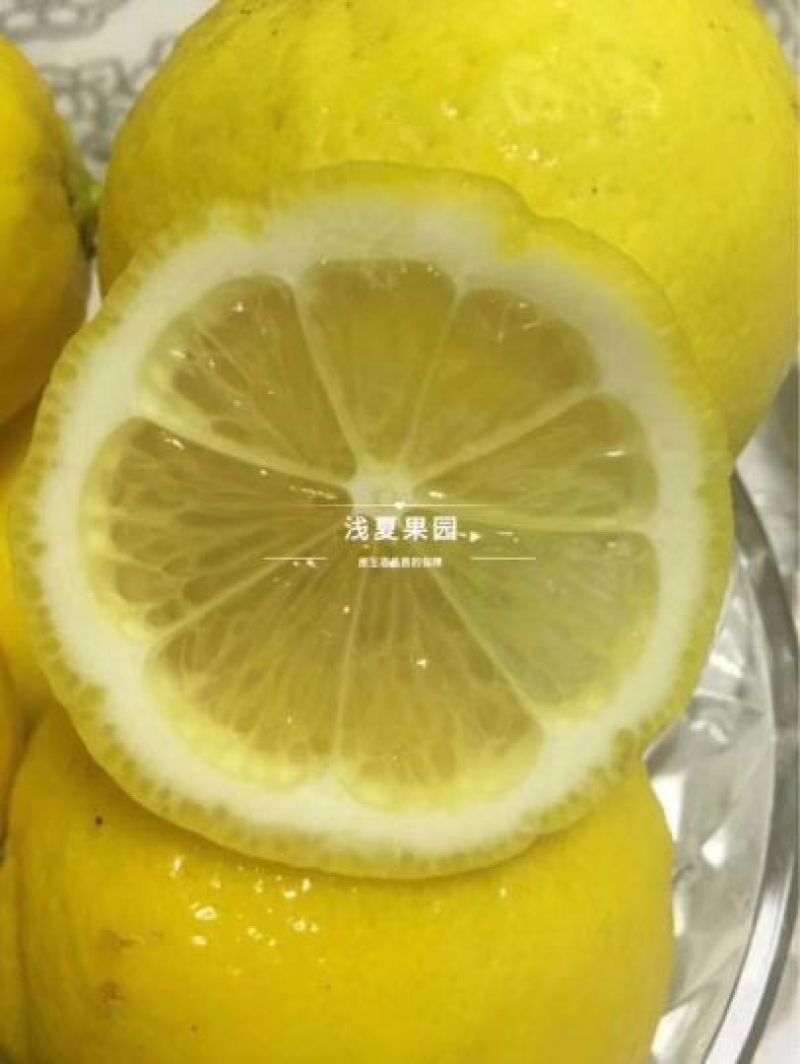 柠檬
