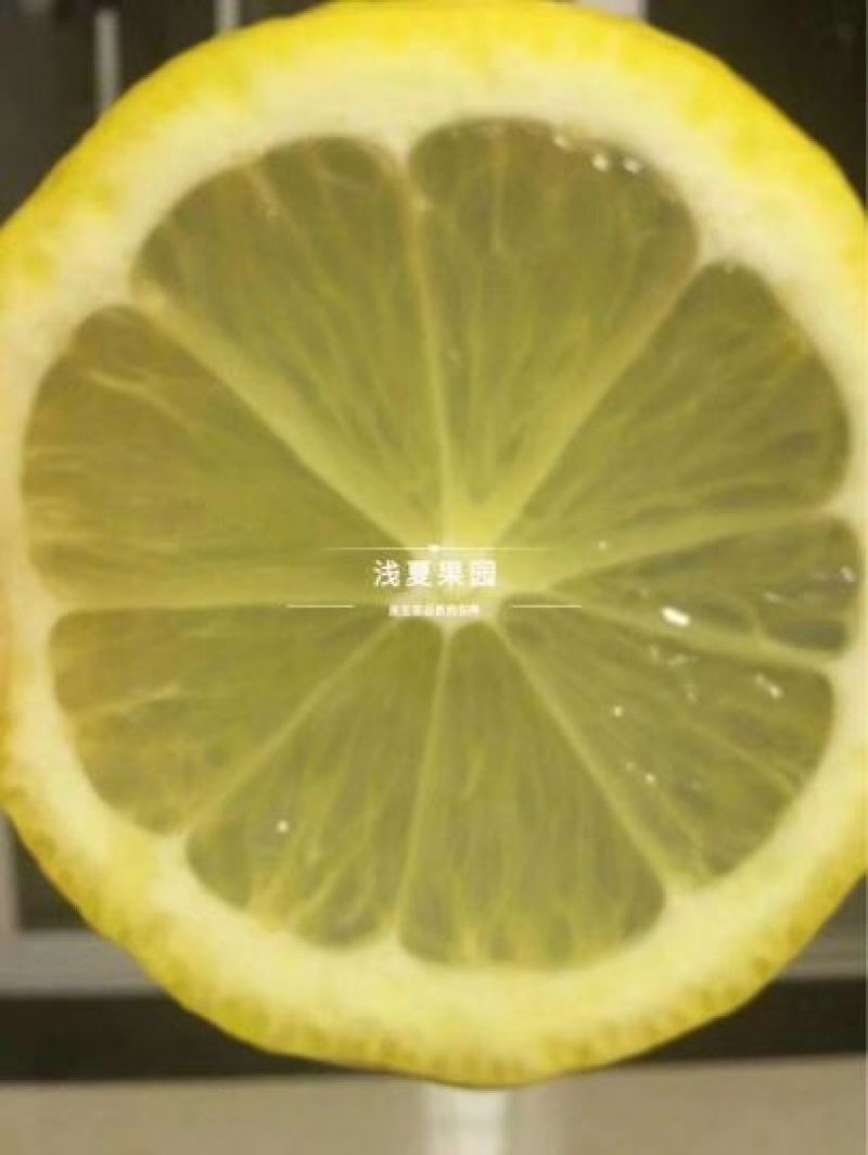 柠檬