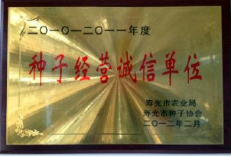 辣椒苗抗病毒高产各种辣椒苗