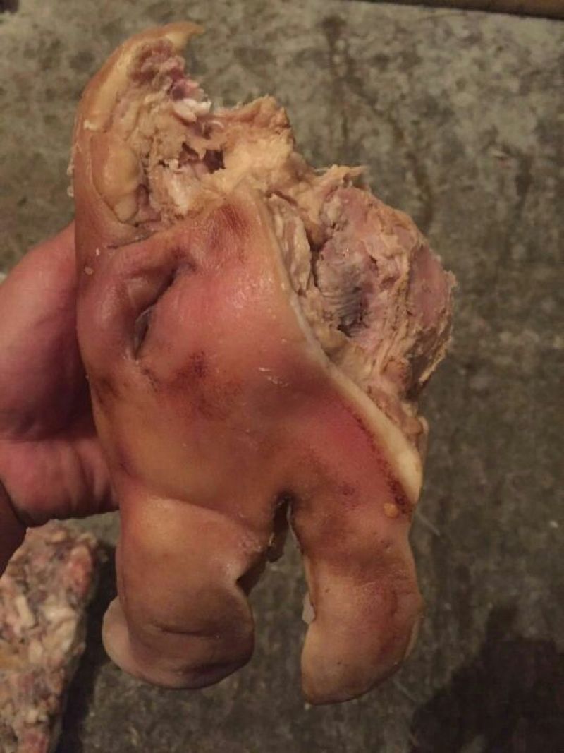 猪头肉