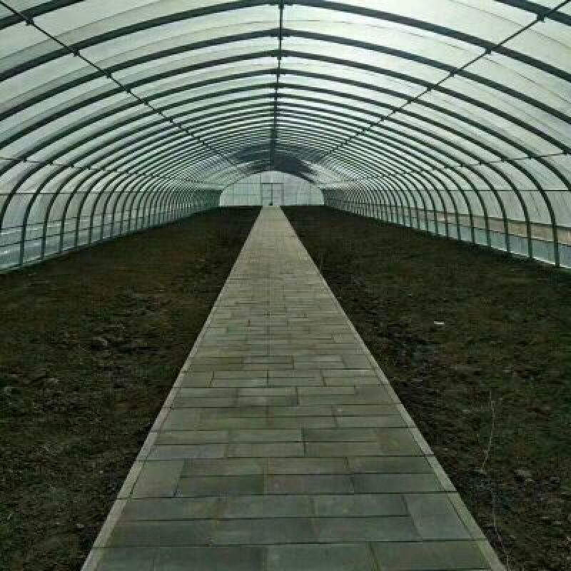 蔬菜大棚镀锌管大棚养殖大棚连栋大棚使用寿命十年以上