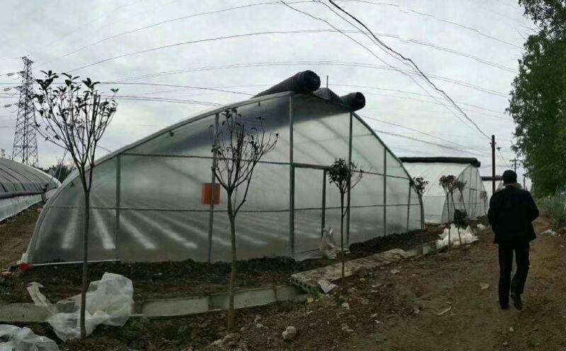 蔬菜大棚镀锌管大棚养殖大棚连栋大棚使用寿命十年以上