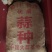 彭县蒜正月早蒜早熟蒜蒜苗蒜苔蒜（产地直供）