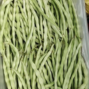 白豆王