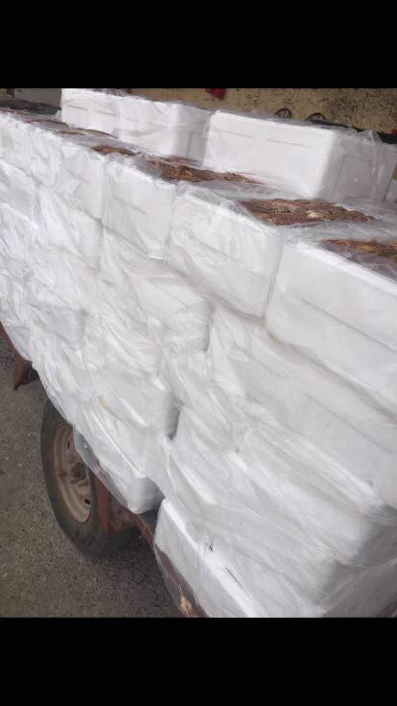 皮皮虾冻虾