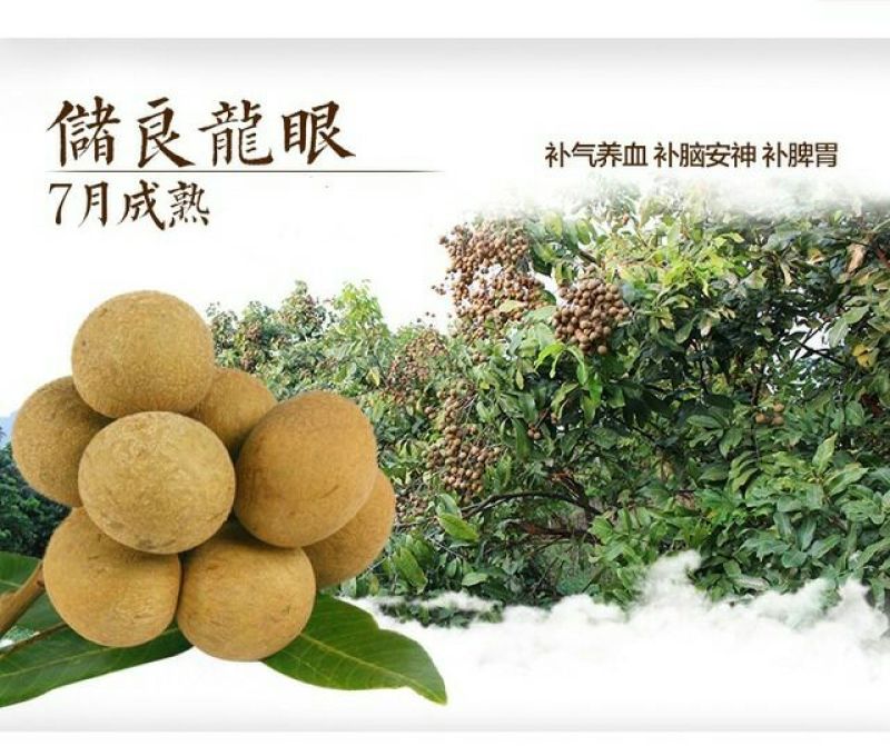 广东石硖/储良龙眼顺丰包邮批发一件代发甜度高