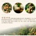 广东石硖/储良龙眼顺丰包邮批发一件代发甜度高