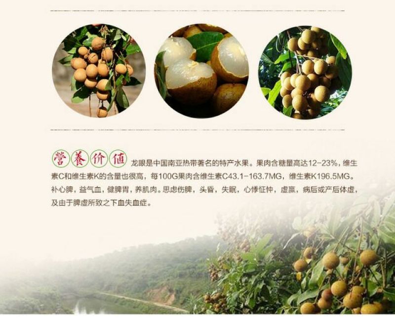 广东石硖/储良龙眼顺丰包邮批发一件代发甜度高