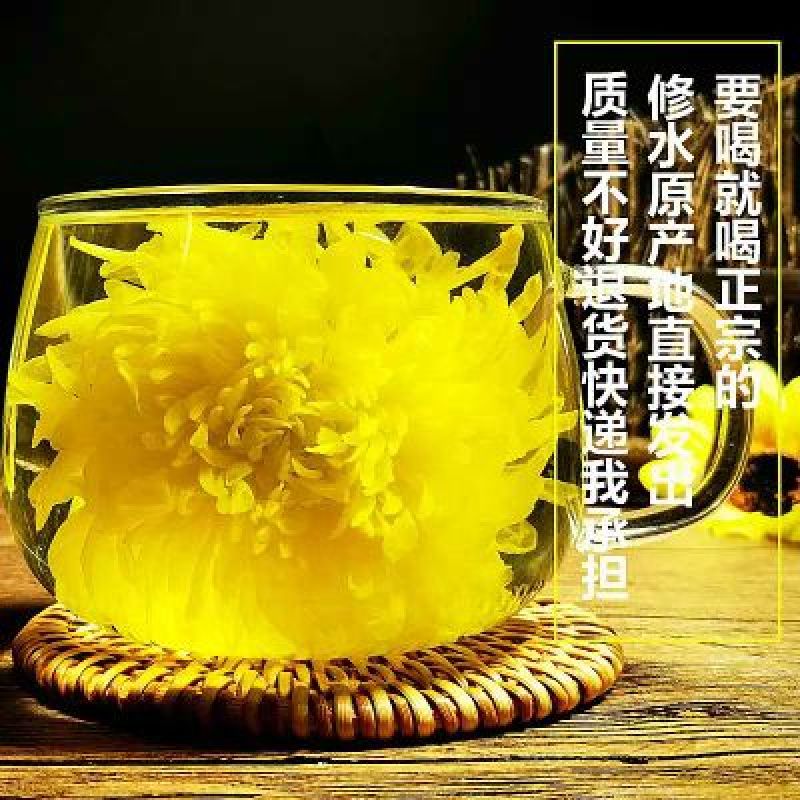山谷绿金丝皇菊江西正宗菊花茶一朵一杯厂家直发