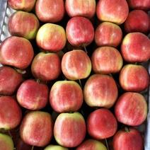 123红苹果色泽好，口感甜脆，辽北产地一手货源。