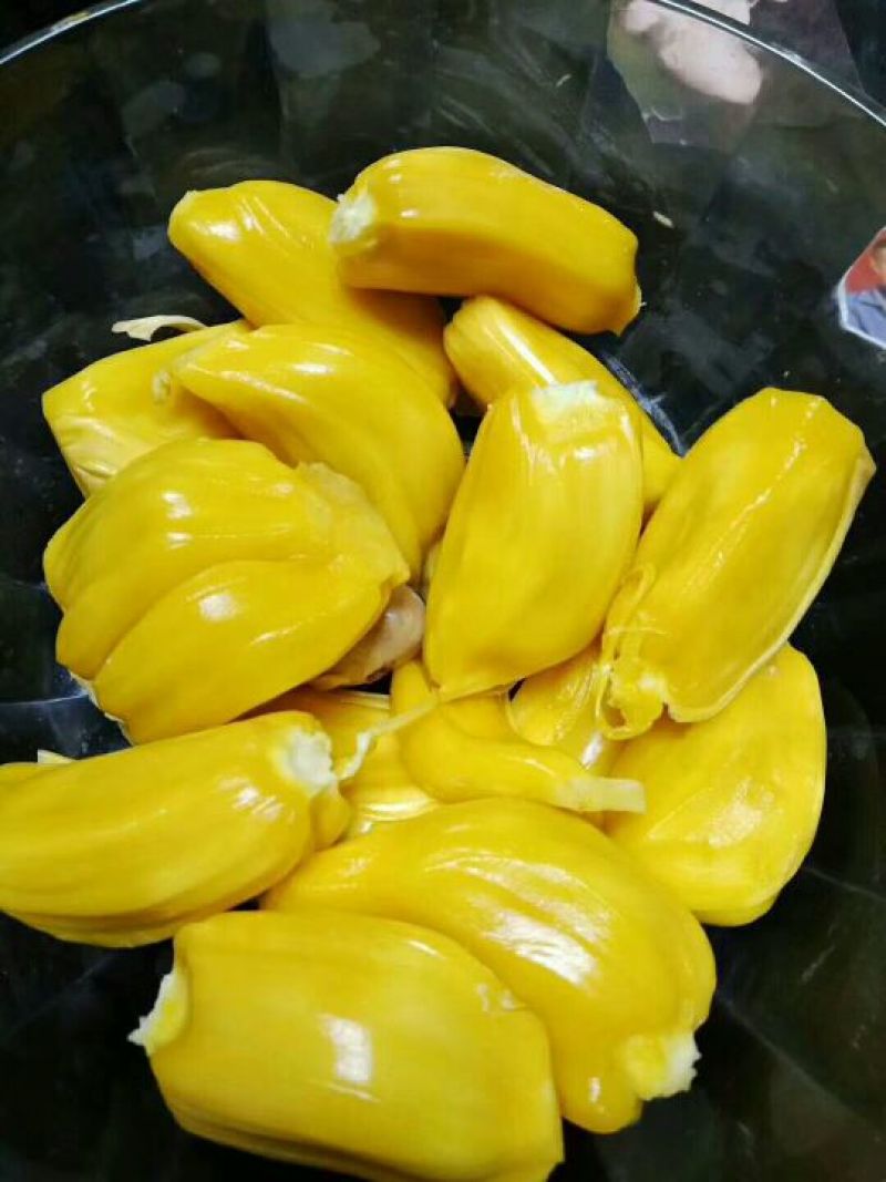 海南菠萝蜜四季供应