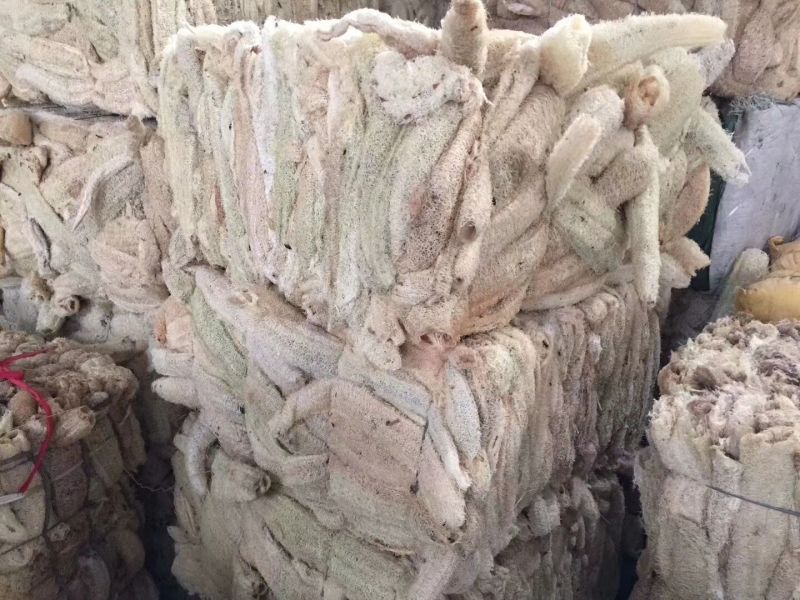 批发丝瓜络丝瓜瓤丝瓜筋中药材大全量大从优