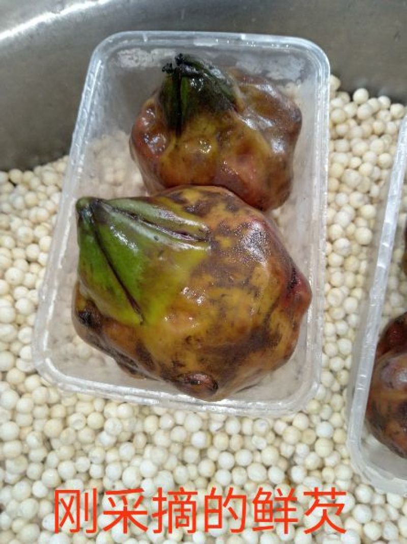 冰鲜芡实大粒米