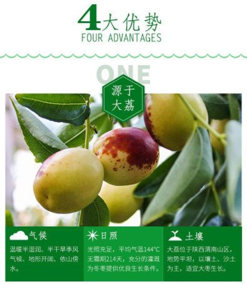 陕西大荔冬枣单果10-15g