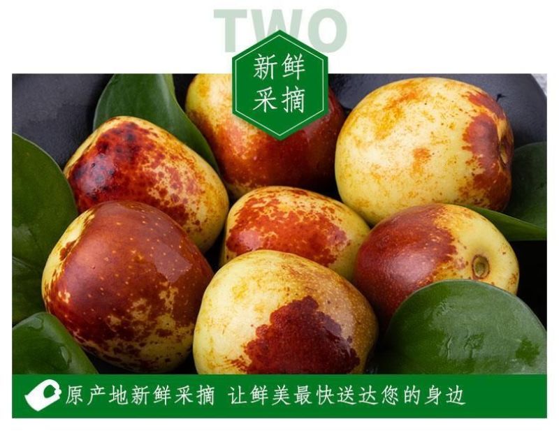 陕西大荔冬枣单果10-15g