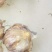 红皮蒜种……有需要的联系咯