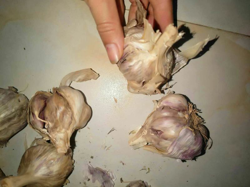 红皮蒜种……有需要的联系咯