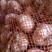 【电联】河北省大名县紫红皮优质大蒜，蒜种，毛蒜，净蒜大量供应