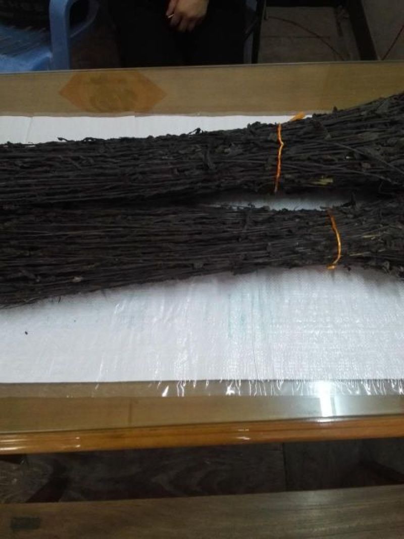 鬼羽箭中药材鬼羽箭黑草克草黑骨草羽箭