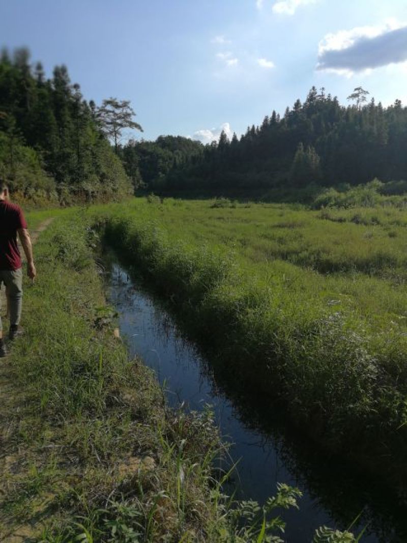 100亩养殖用地转让