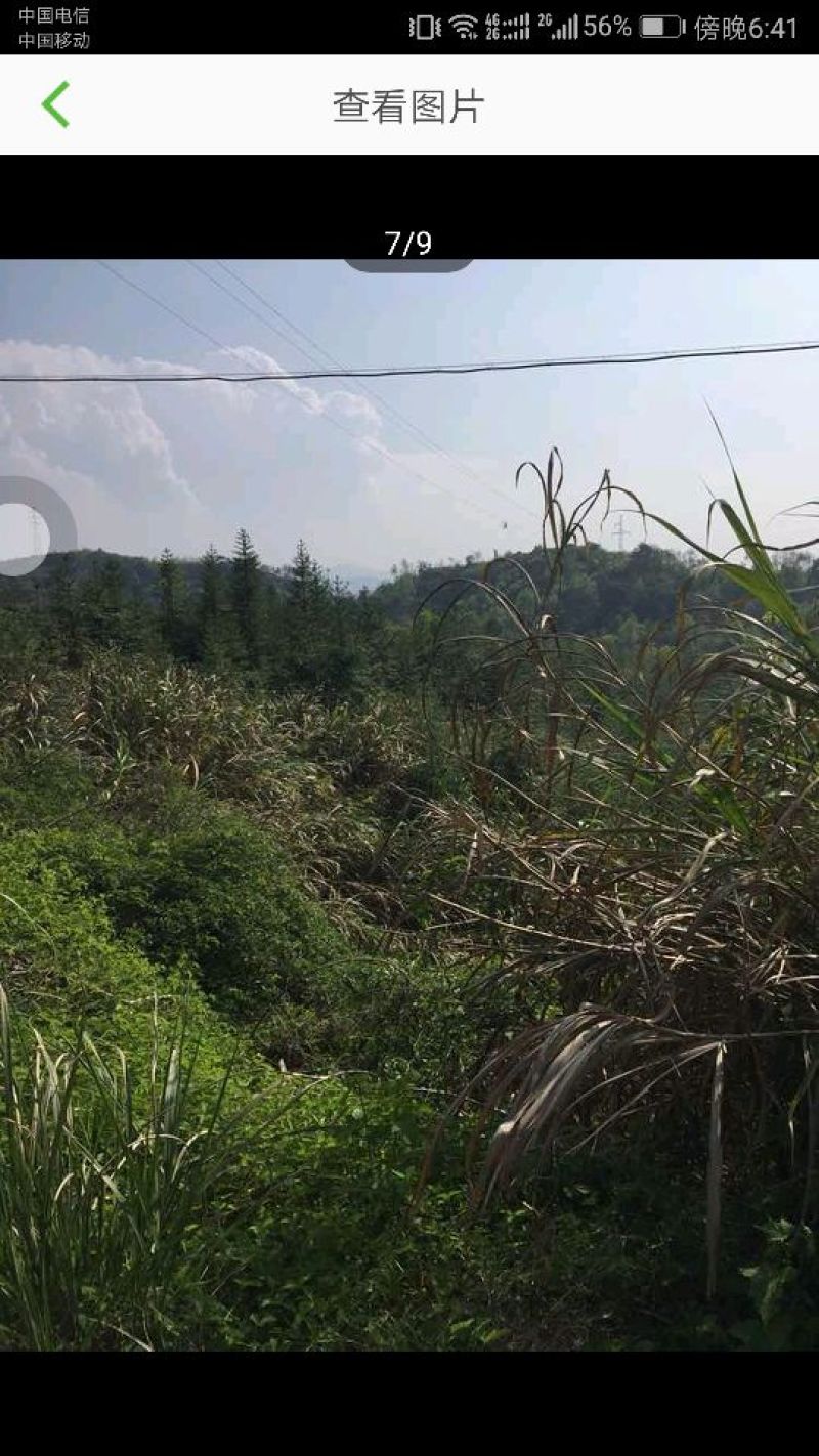 4000亩林地转让