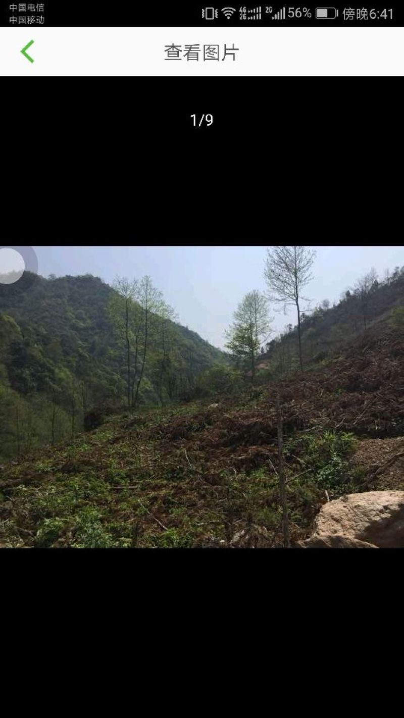 4000亩林地转让