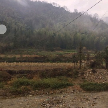 1500林地出租