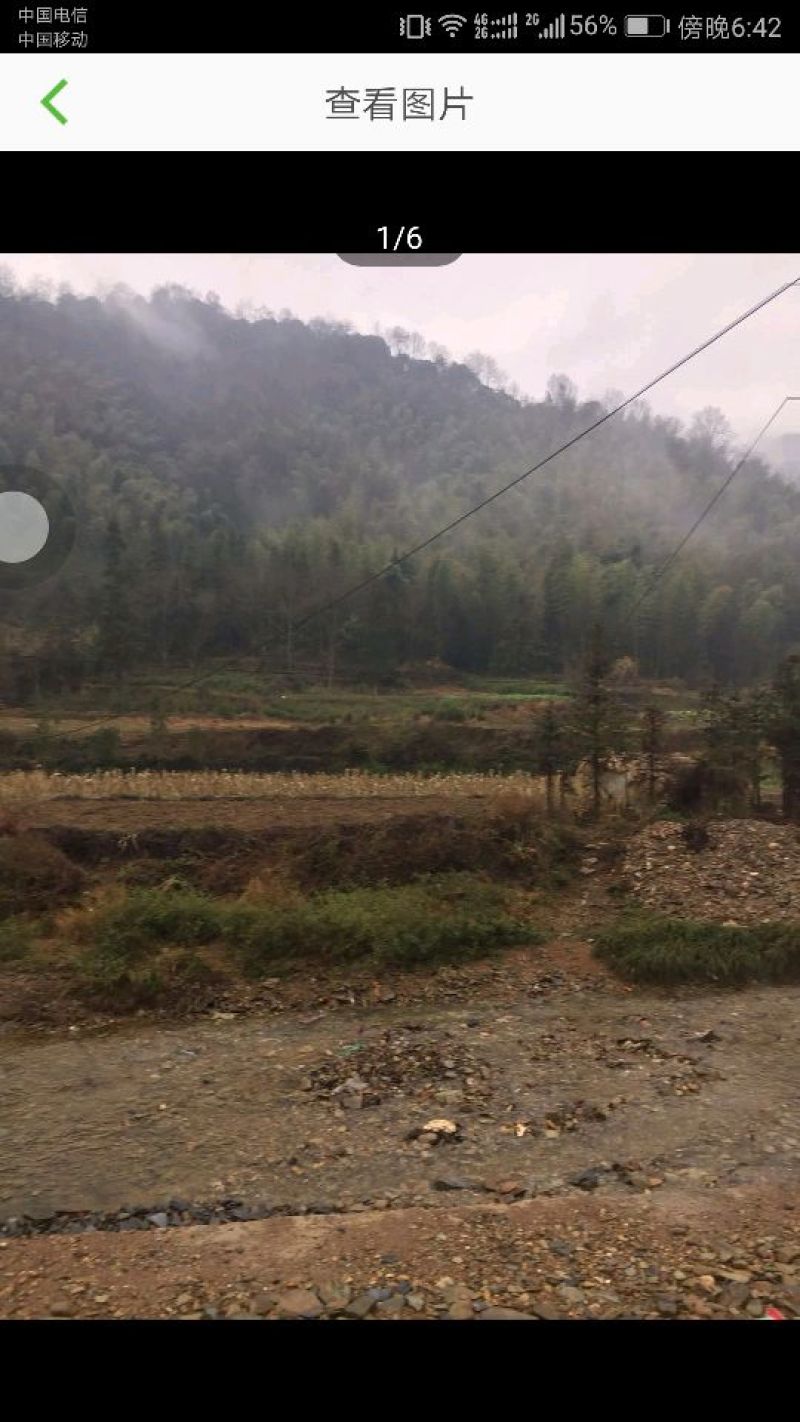 1500林地出租