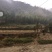 1500林地出租