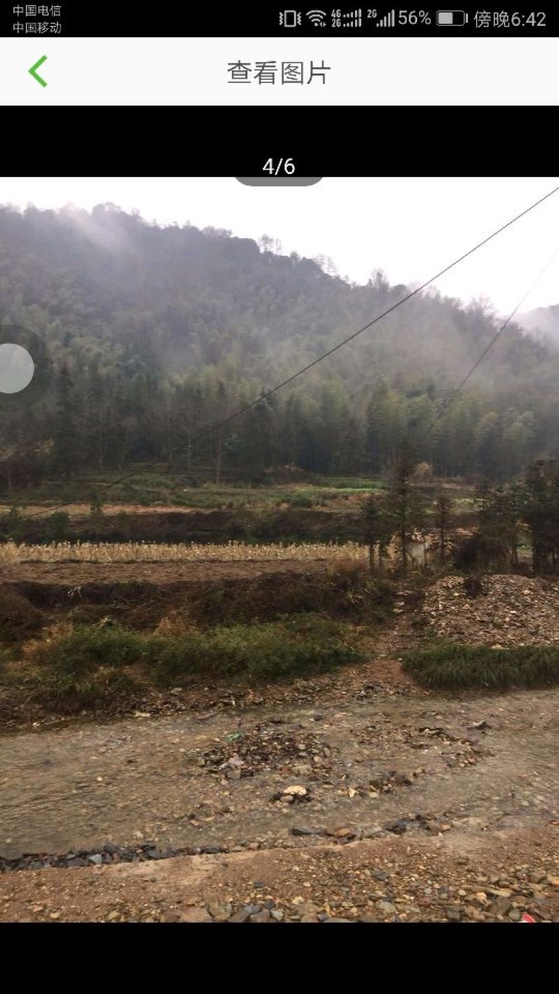1500林地出租