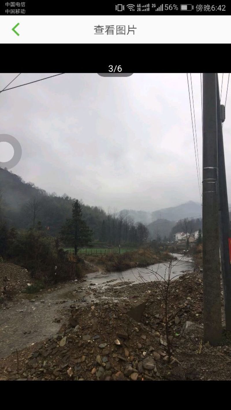 1500林地出租