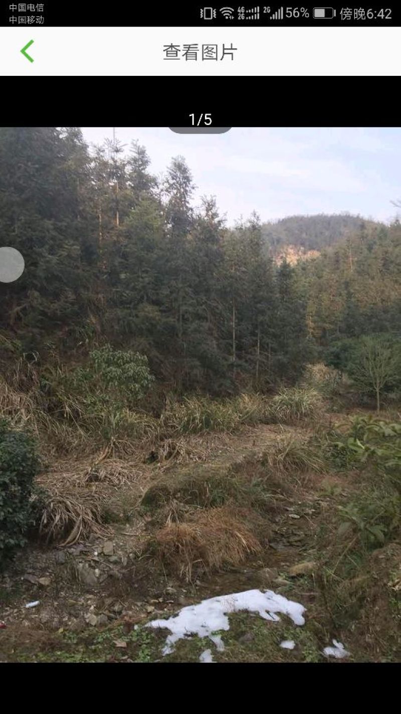 1937林地转让