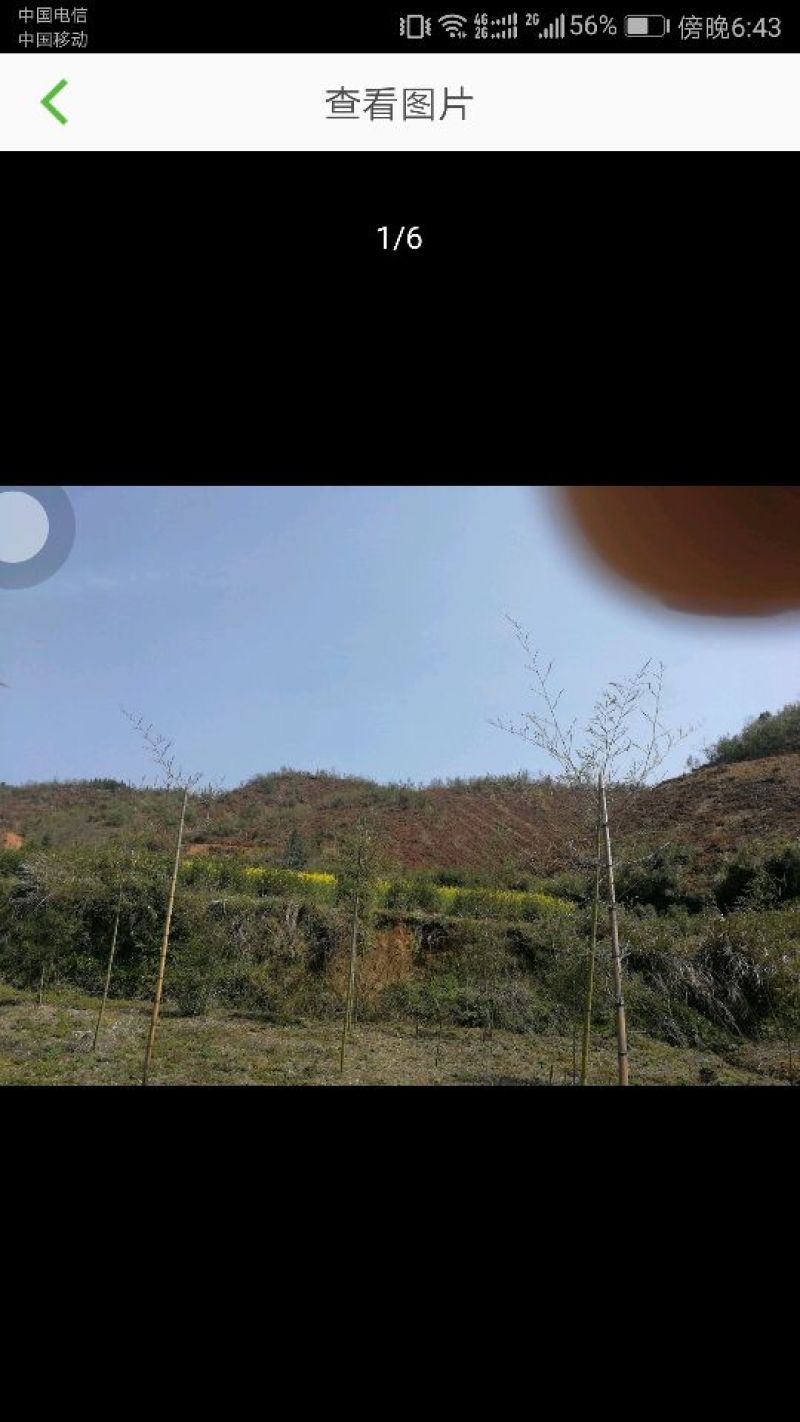 200亩山地出租