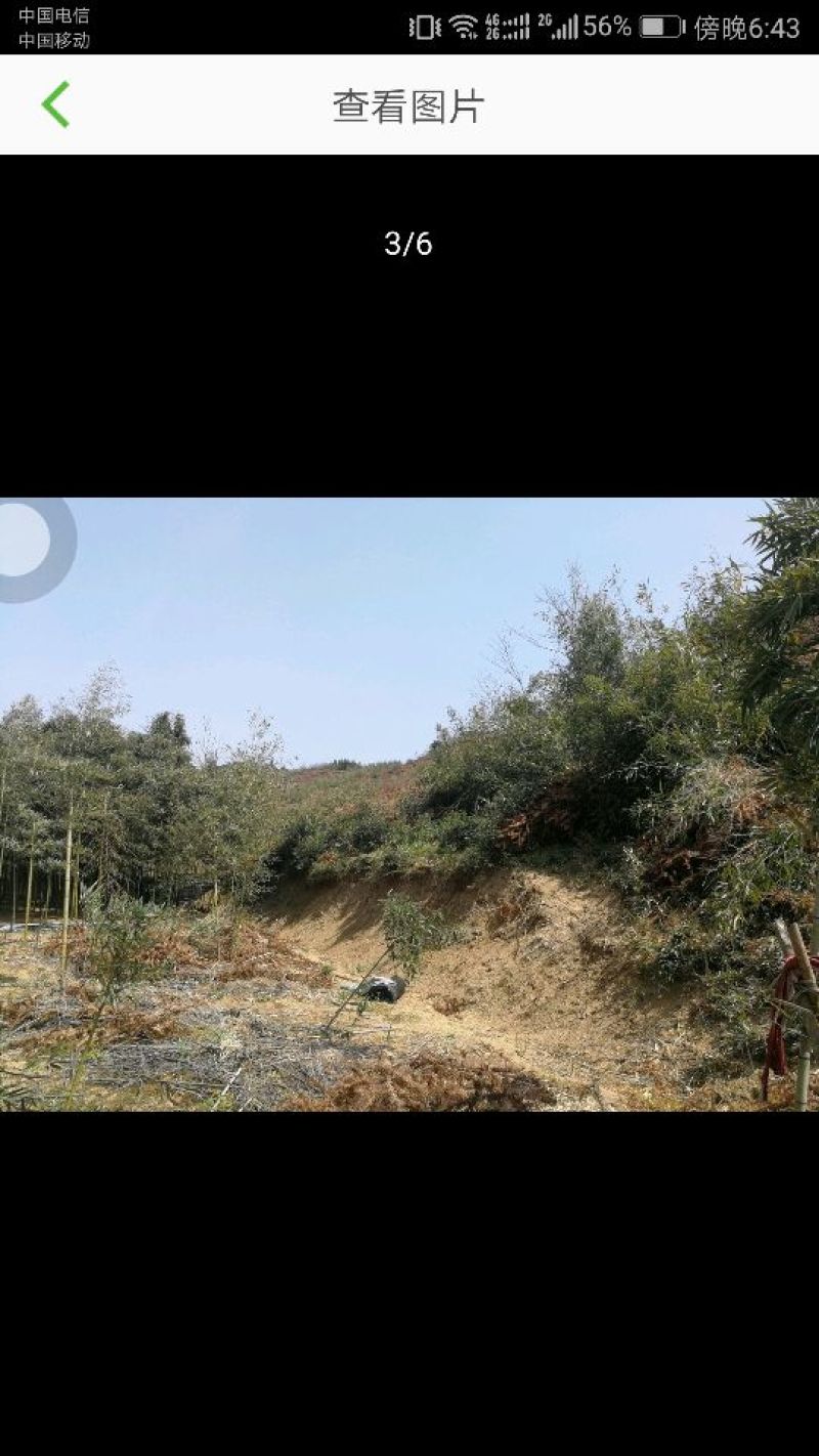 200亩山地出租
