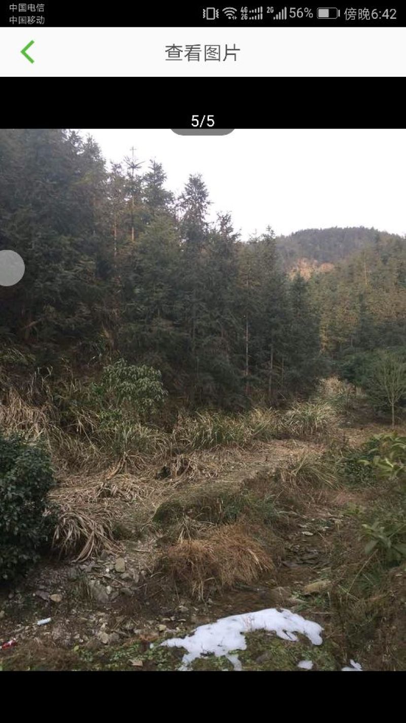 1974亩山地转让