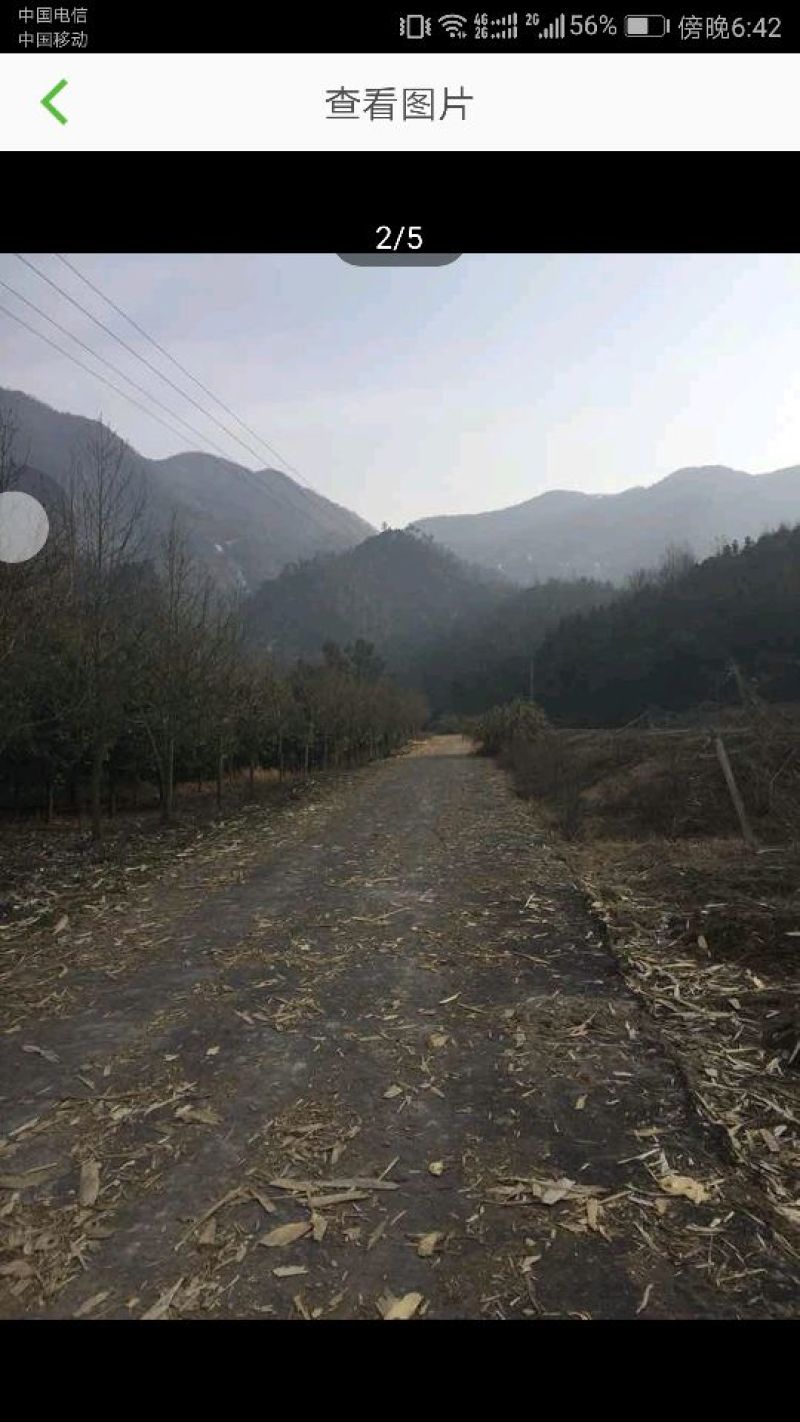 1974亩山地转让