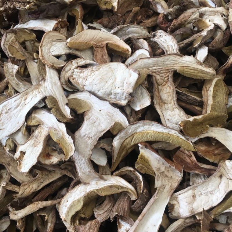 牛肝菌羊肚菌特级美味白牛肝菌云南食用菌批发