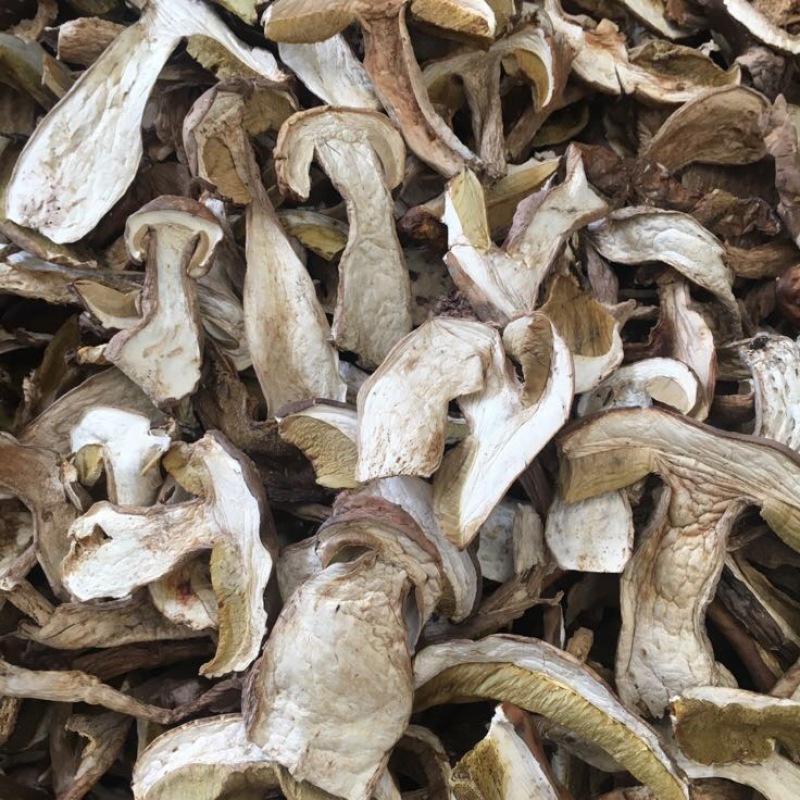 牛肝菌羊肚菌特级美味白牛肝菌云南食用菌批发